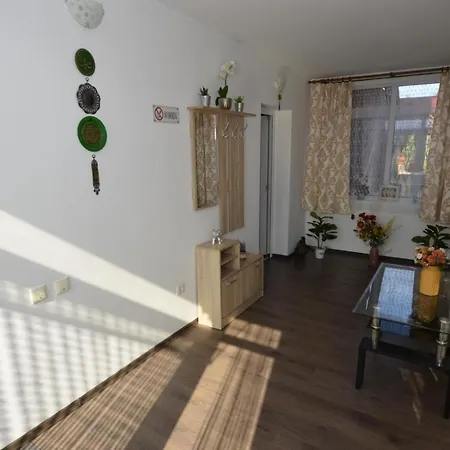 Casa Ali 홈스테이