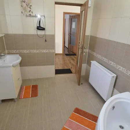 Homestay Vila Ali Costinesti